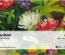 Invitació_exposicio_coll-bardolet