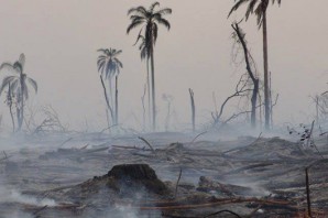 Desastres-ambientales-producidos-por-el-cambio-climatico-2